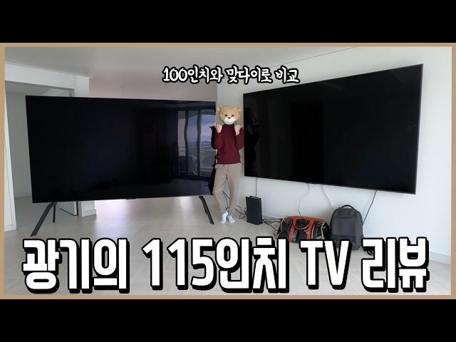 상정외의 괴물! 115인치 TV 맞다이 비교리뷰