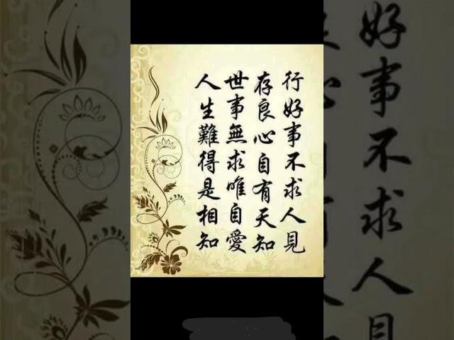 #人生感悟 #好文分享 #心靈雞湯 #心靈#能量 #正面思考#人生#修行