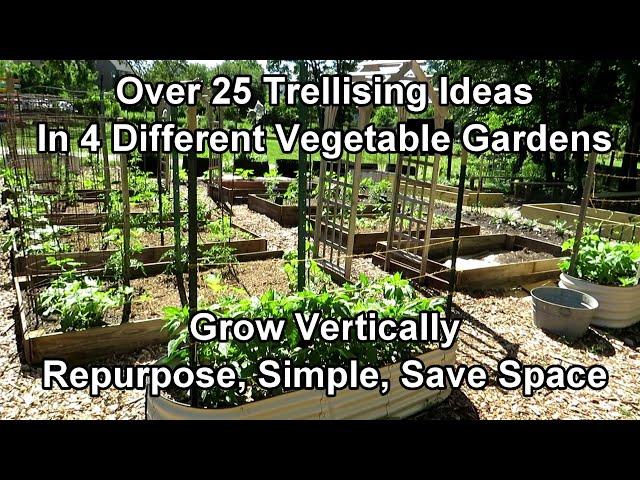 Over 25 Vegetable Garden Trellising Designs: Crop Examples, Materials, Vertical Growing Ideas