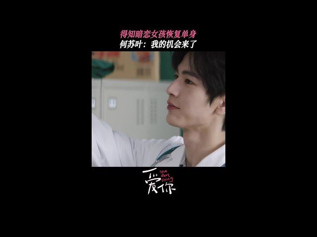 何蘇葉得知沈惜凡單身暗爽 | 愛奇藝 #愛你 #張淩赫 #徐若晗 #shorts