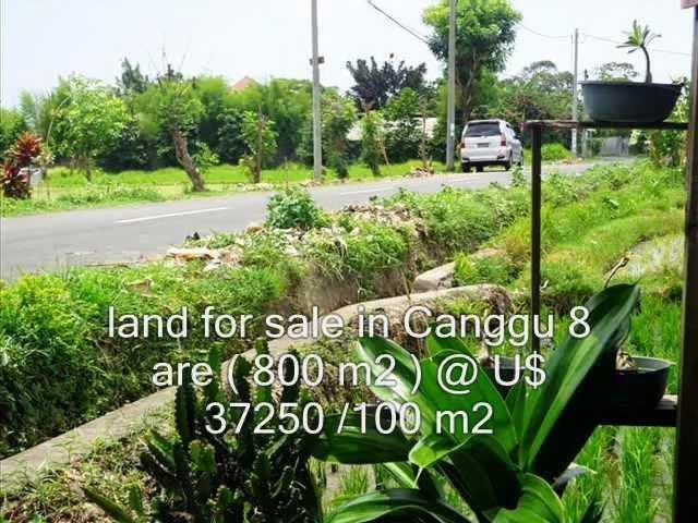 Roadside land for sale in Canggu