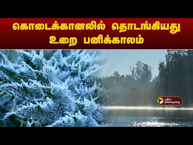 கொடைக்கானலில் தொடங்கியது உறை பனிக்காலம் | Kodaikanal