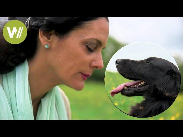 Animal communication - Understanding how animals think and feel