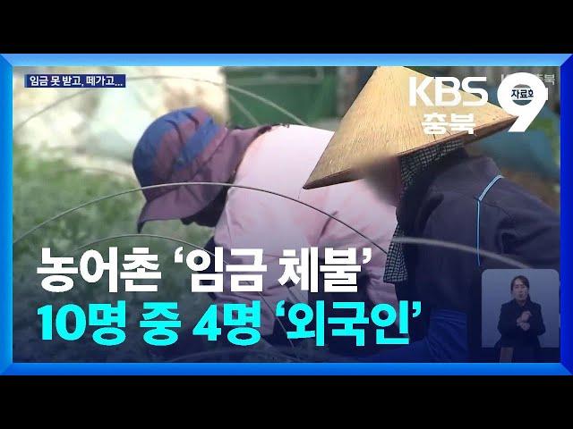 농어촌 ‘임금 체불’ 10명 중 4명 ‘외국인’ / KBS  2024.11.17.