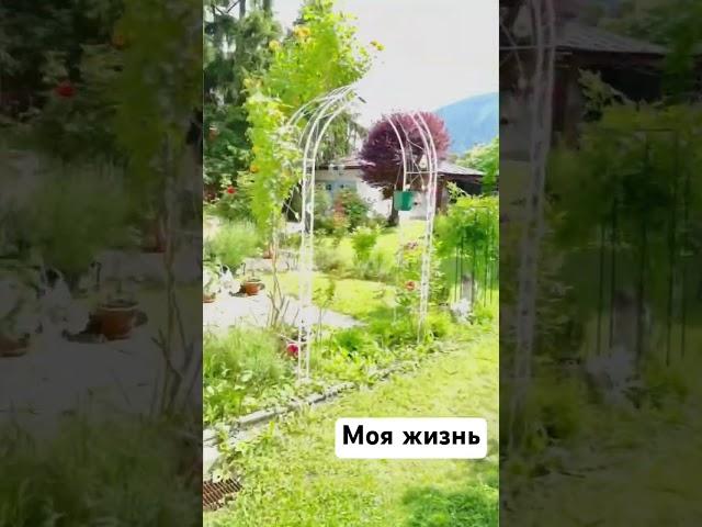 My life in Austria. Tirol. Mein Leben in Österreich/Мой дом и сад /Австрия, Тироль, Имст #shorts
