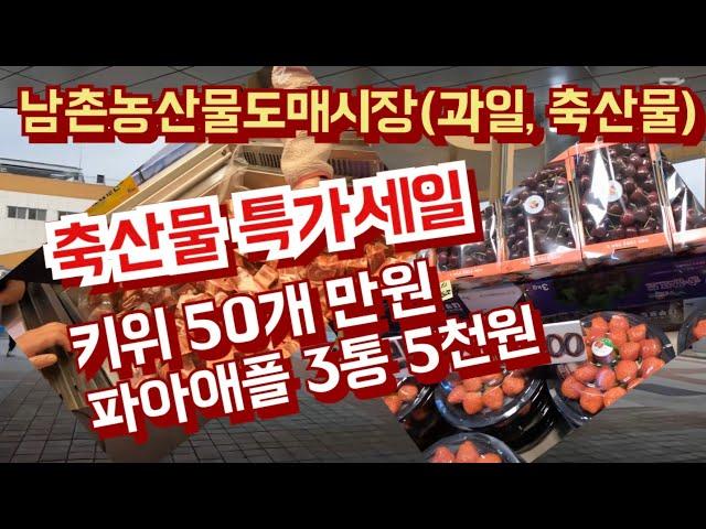 축산물 특가세일, 키위는 50개 만원/파인애플 3통5천..