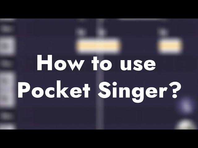 How to use Pocket Singer?