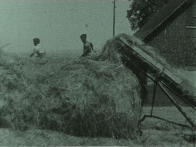 Der Futterbau (Schweiz, ca. 1940)