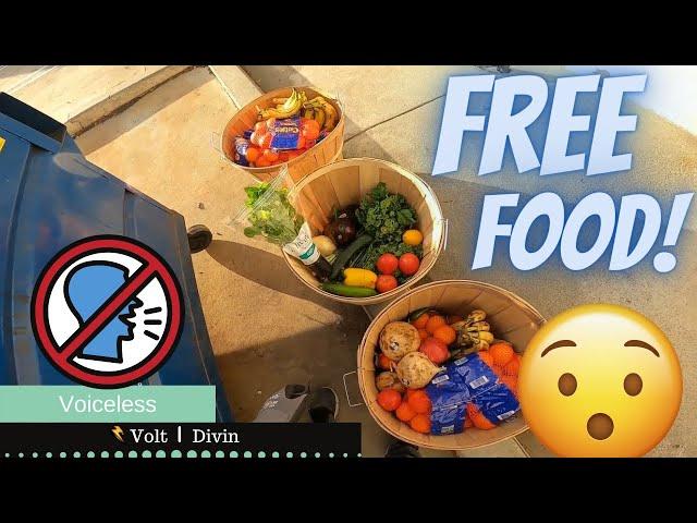 ASMR Voiceless Dumpster Diving Free Food No Talking  S1E44V91