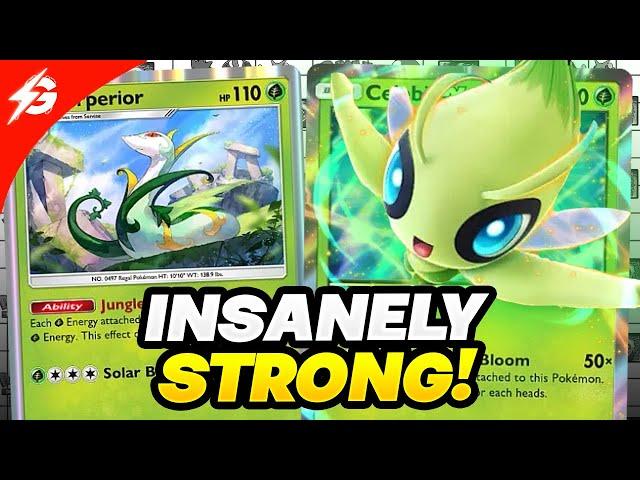 This is the NEW #1 DECK in Pokemon Pocket! (TRY THIS)