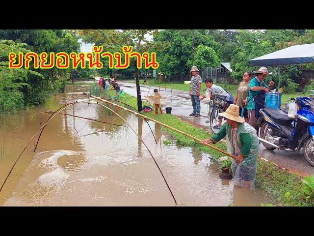 ยกยอกลางหมู่บ้านหลังพายุฝนโคอินุตกกระหน่ำ#fishing#ยกสะดุ้ง#หาปลา