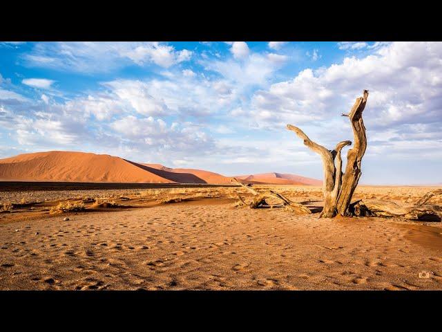 Kultur Beat | Sound Of The Desert Vol. 2 Music Mix #64