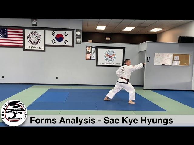 Legacy Martial Arts Forms Analysis