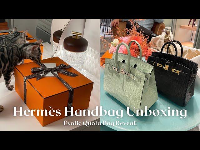 HERMÈS UNBOXING 2024: Exotic Quota Bag Reveal!