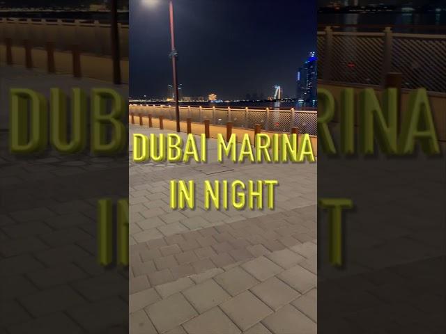 Dubai Marina in Night