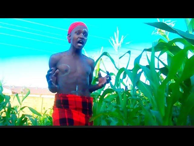 msitu  ya  kichawi( ep2) @clamvevo6472 @Steve_Mweusi @promise254 #funskitcomedy #comedy