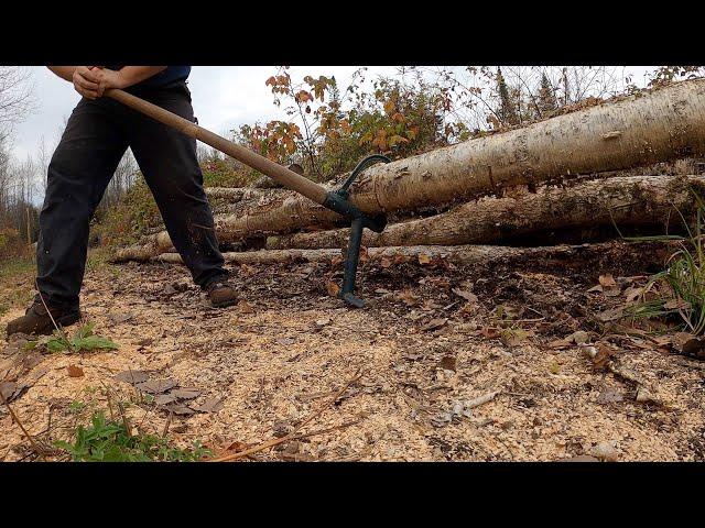 Essential Firewood Cutting Tools