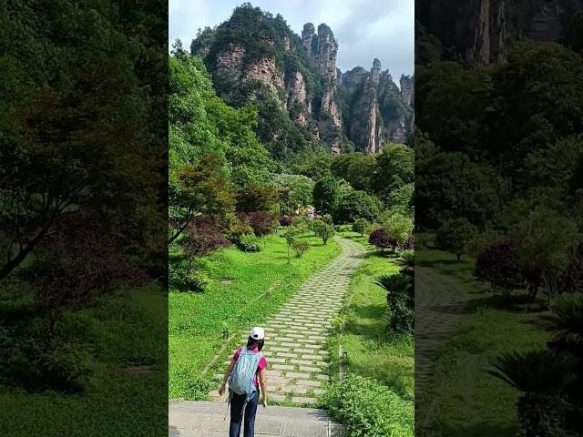 中國張家界導遊張雄（86+139 7449 1936邀請您遊玩中國武陵源張家界國家森林 #張家界導遊張雄 #travel #張家界#張家界國家森林公園 #張家界旅遊攻略 #zhangjiajie