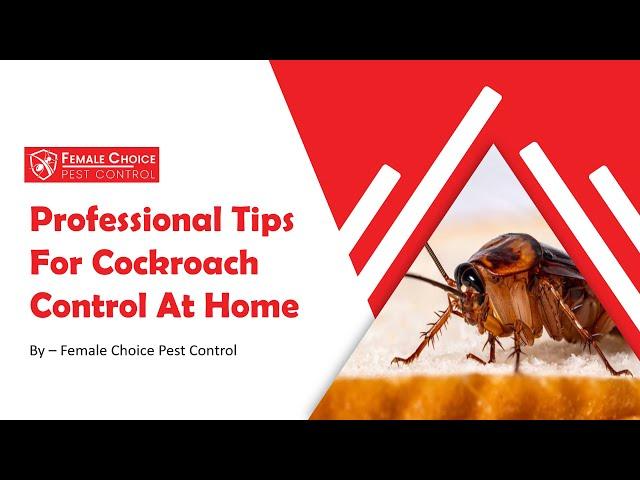 Professional Tips For Cockroach Control At Home | Female Choice Pest Control | Cockroach Control Tip