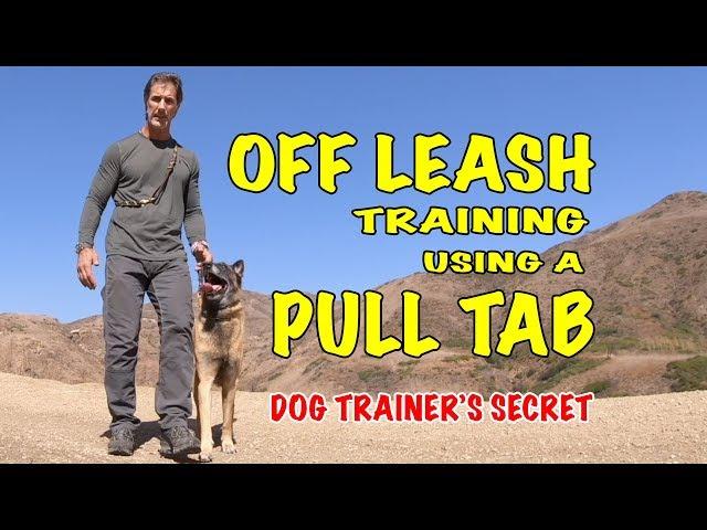 OFF LEASH Training Using a Pull Tab - Robert Cabral Dog Training Video