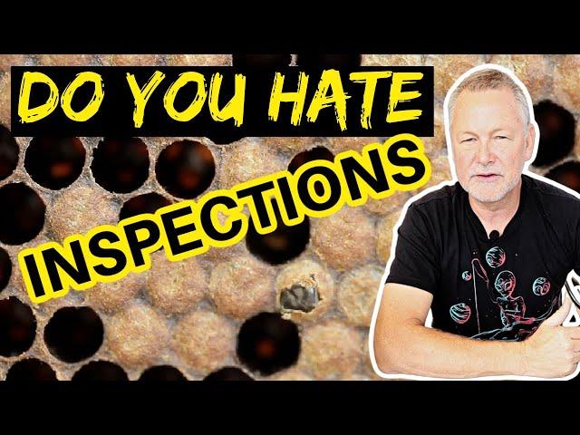 Beekeeping Inspection TIPS That Will Make Beekeeping Fun