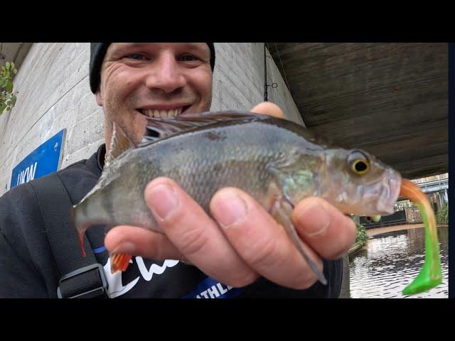 Toten Köderfisch in Bewegung versetzen | Auf Zander im Herbst/November