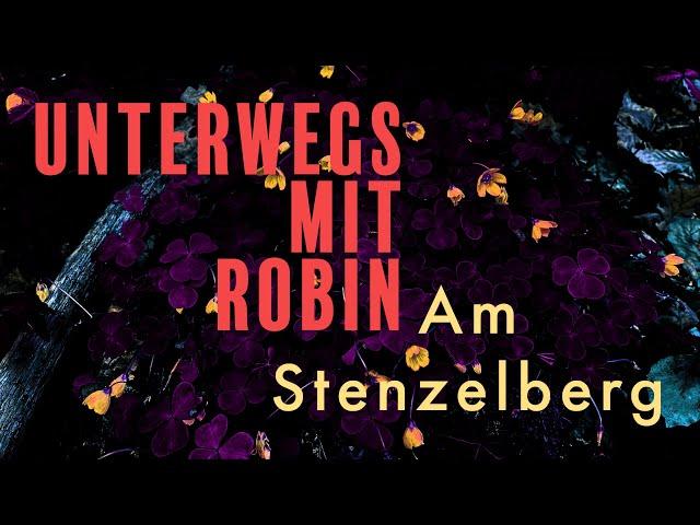 Unterwegs mit Robin – Am Stenzelberg - VLOG