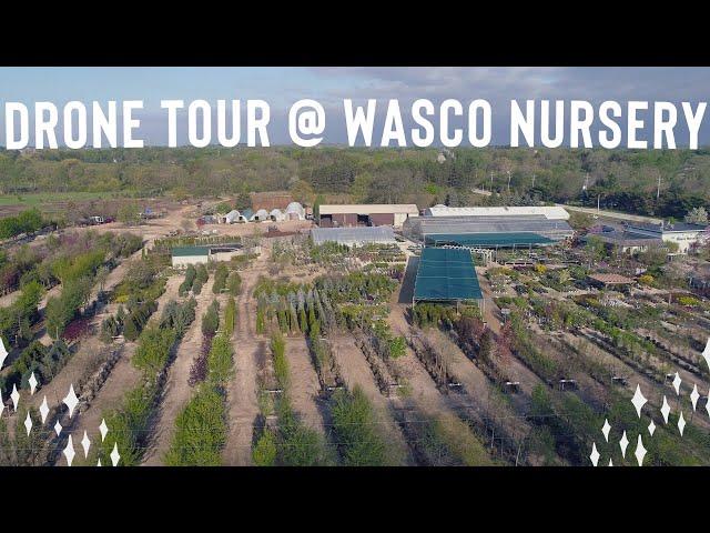 Garden Center Drone Tour // Wasco Nursery