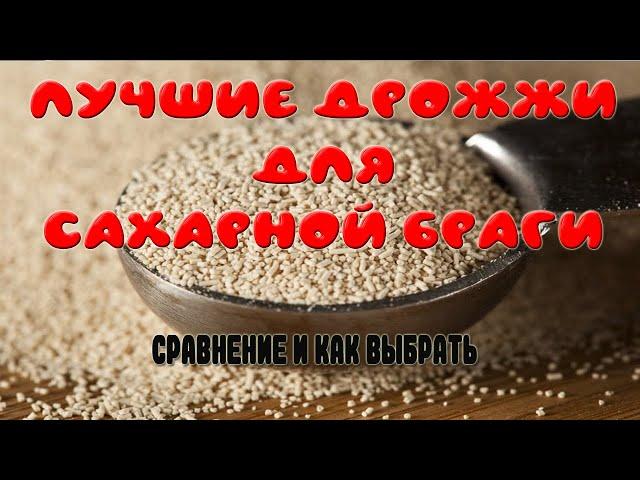 Лучшие дрожжи для сахарной браги. Какие дрожжи выбрать для обычной сахарной браги