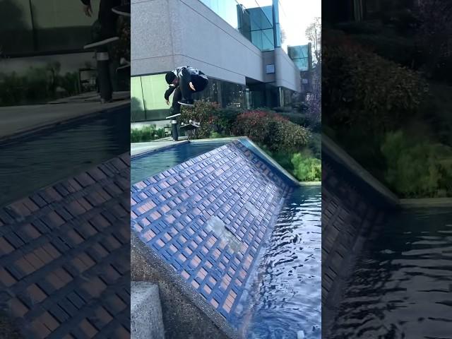 Chris Joslin Backside Flip