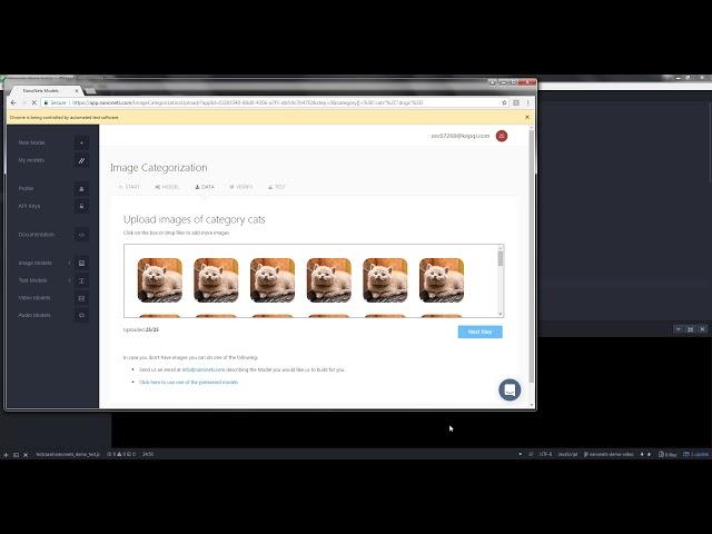 nanonets.com demo