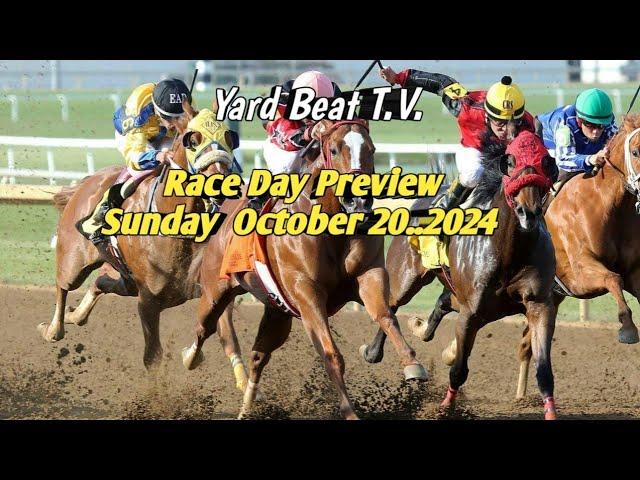 RACE DAY PREVIEW /Sunday 20. Oct.2024.| YARD BEAT T.V.