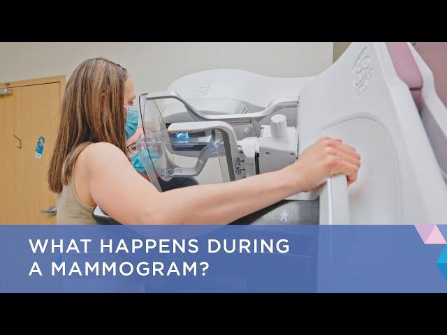 What Happens During a Mammogram?