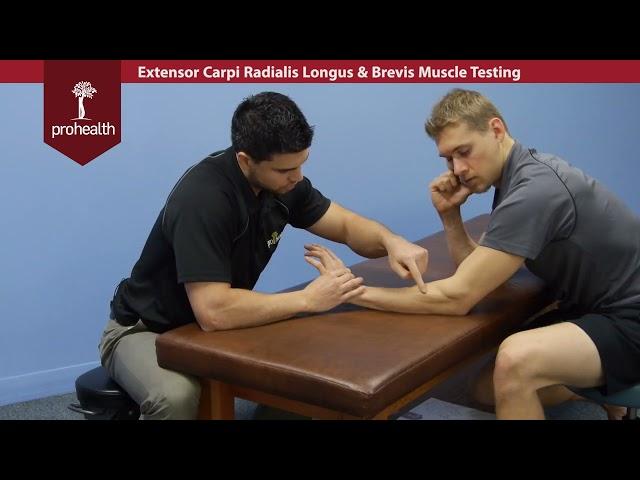 Extensor Carpi Radialis Longus & Brevis Muscle Test Palp Dr Vizniak Muscle Manual