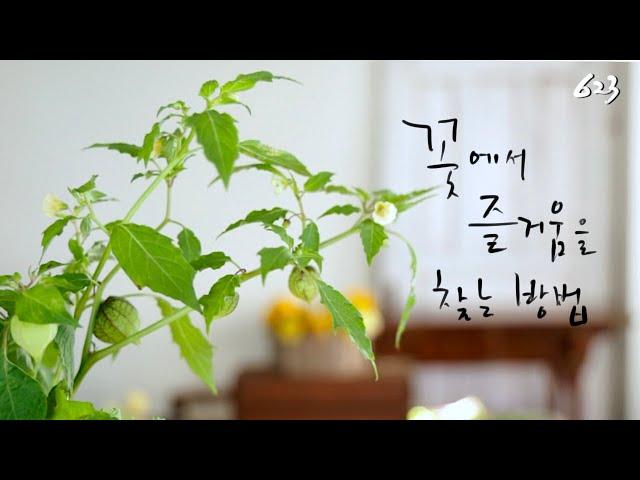 플라워레슨 623 꽃박스 만들기 Flower lesson 623 Flower box design