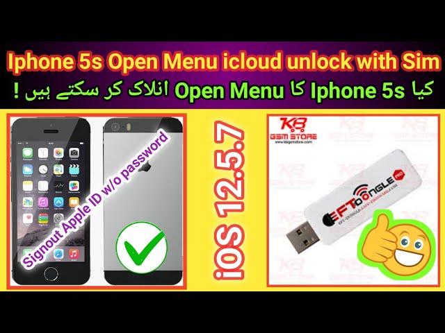 Iphone 5s Open Menu icloud unlock with network by EFT Pro iOS 12.5.7 | Sim working 100% | 2024