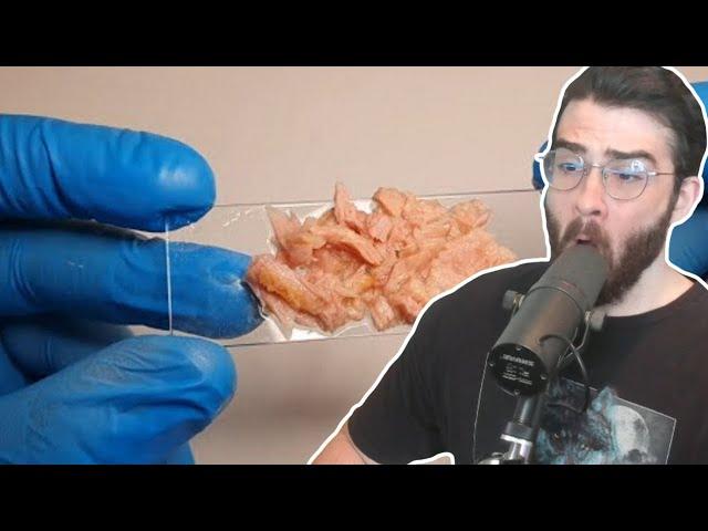 HasanAbi reacts to Why There Is Plastic In Fish Meat - Daily Dose of Internet