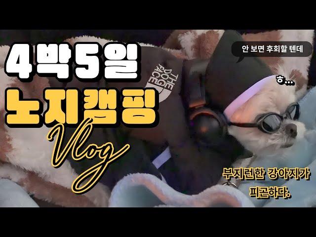 [4K] 애견동반 4박5일 겨울바다 노지캠핑 알짜배기 모음ㅣ텐트 피칭부터 보드게임까지 초대캠의 모든 것ㅣ킬포 많음 주의