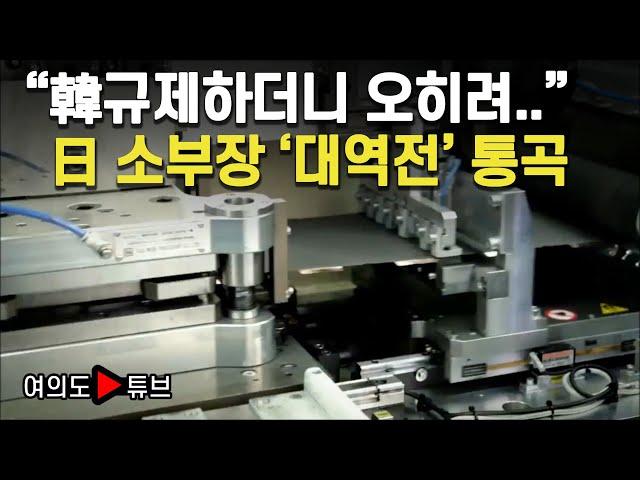 [여의도튜브] “韓규제하더니 오히려..” 日 소부장 ‘대역전’ 통곡 / 머니투데이방송