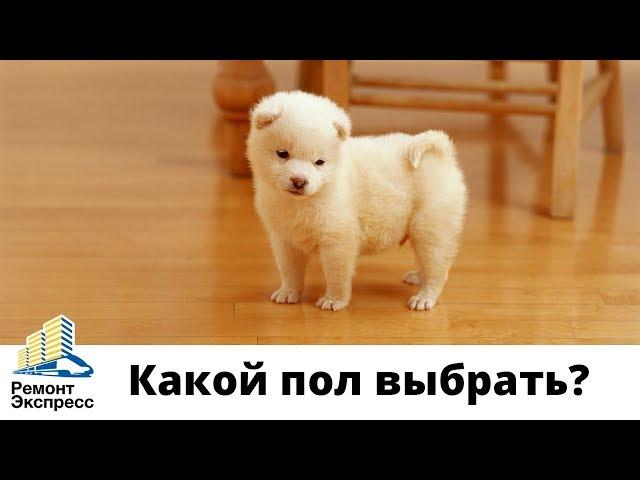 Виды напольных покрытий - деревянный пол. Обзор: массивная и паркетная доска, паркет, пробковый пол