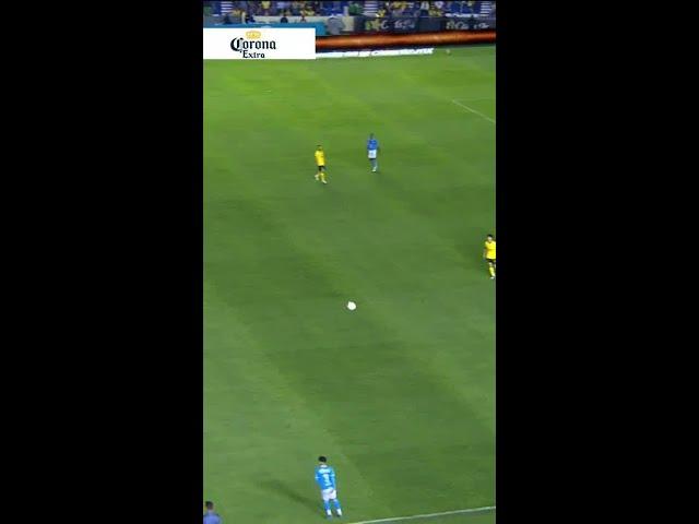  ¡CON TODO! Borja hace cierra de manera espectacular para tapar a Bogusz