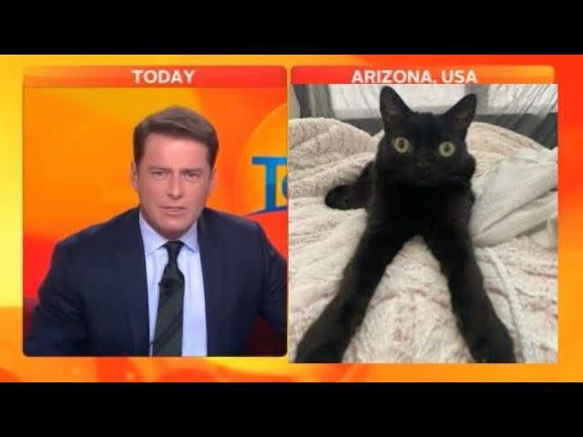 Interviewer cracks up after meeting jinx the cat on his show