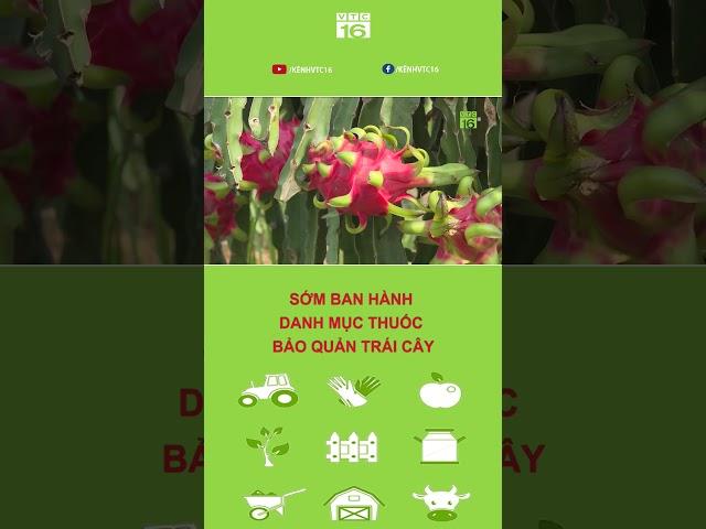 Sớm ban hành danh mục thuốc bảo quản trái cây | VTC16