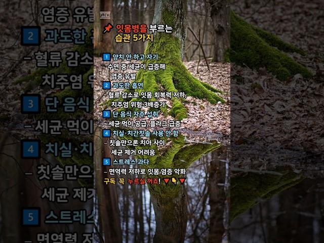  잇몸병을 부르는 습관 5가지#건강 #몸속독소 #생활습관 #해독 #디톡스 #좋은글 #습관 #명언 #건강정보 #웰빙 #몸정화 #건강한삶 #헬스케어