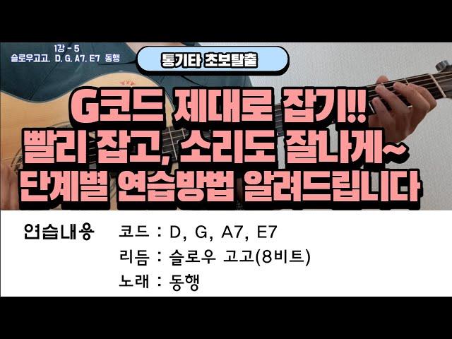 1강-5 독학으로 통기타 초보탈출 슬로우고고 동행