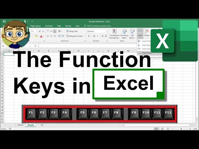 The Function Keys in Excel