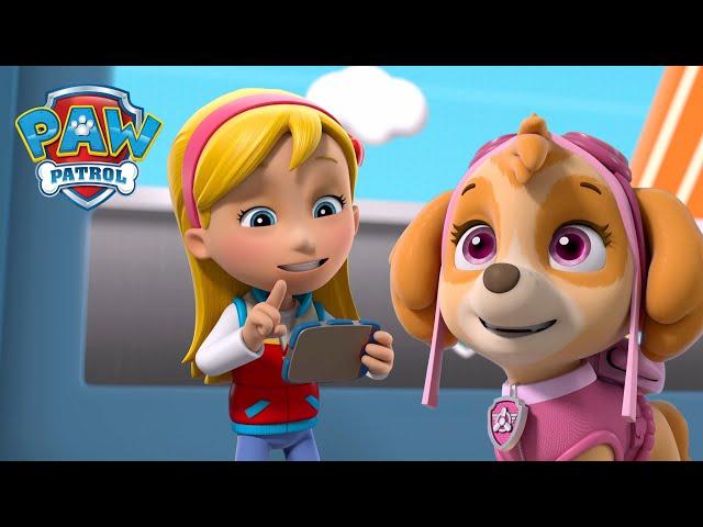 Katie prowadzi Psi Patrol, aby powstrzymać szczekające koty i nie tylko! - PAW Patrol po polsku