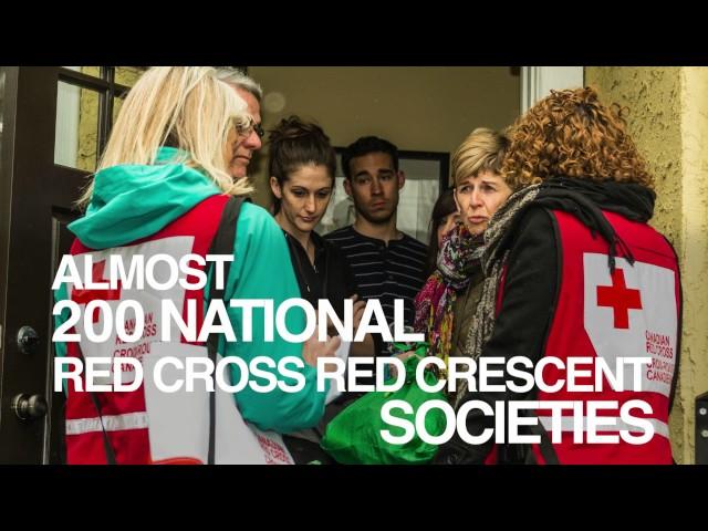What is the International Red Cross Red Crescent Movement?
