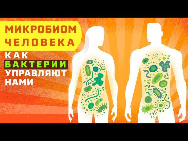 Микробиом человека - что это такое? Как бактерии управляют нами?| Микрофлора кишечника| Да Но