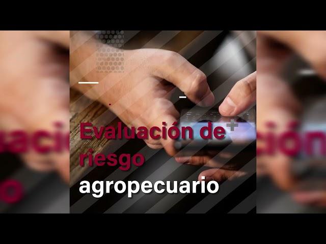 Maestría en Agronegocios